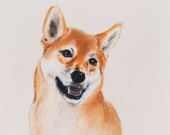 Shiba Inu Dog Art Pastel Drawing By Cori Solomon