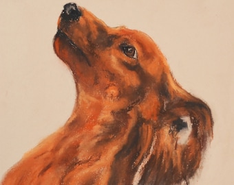 Doxie Art Dachshund Dog Art Pastel Drawing