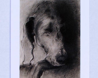 Weimaraner Dog Art Note Cards By Cori Solomon