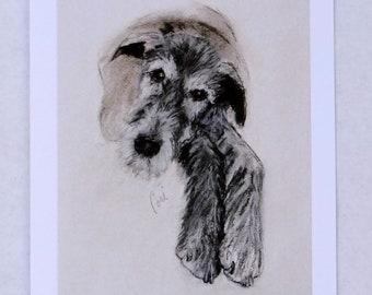 Irish Wolfhound Art Note Cards By Cori Solomon
