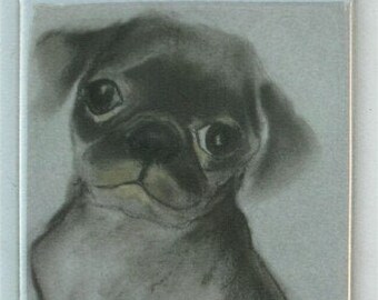 Black Pug Dog Art Magnet By Cori Solomon