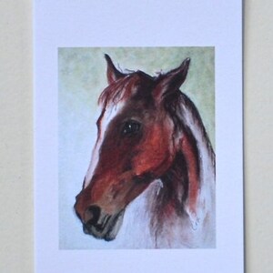 May include: A watercolor painting of a brown horse's head with a white mane and a light brown background.
