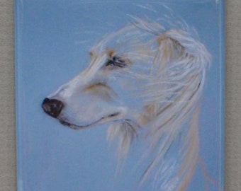 Windhound Saluki Dog Art Magnet By Cori Solomon