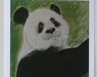 Panda Bear Wildlife Art Note Cards By Cori Solomon