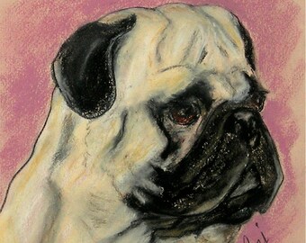 Fawn Pug Dog Art Pastel Drawing By Cori Solomon