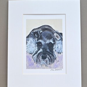 Schnauzer Dog Art Print Matted and Signed By Cori Solomon