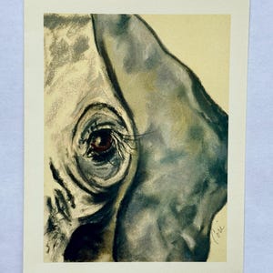 Biglietti d'auguri con l'arte degli elefanti, animali selvatici di Cori Solomon