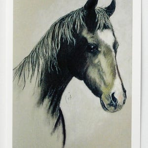 Cartes de correspondance Black Horse Art par Cori Solomon