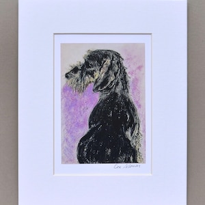 Wire Haired Dachshund Dog Art Signed and Matted Print By Cori Solomon