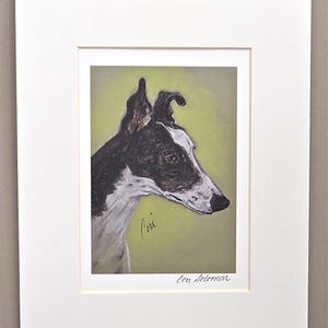 Greyhound Dog Art Print Signed and Matted By Cori Solomon