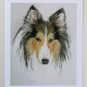 Biglietti d'auguri artistici con il cane pastore delle Shetland, Sheltie, di Cori Solomon