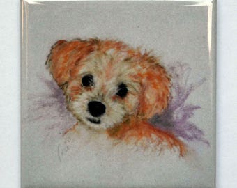 Goldendoodle Puppy Art Square Magnet By Cori Solomon