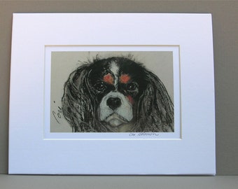 King Charles Cavalier Spaniel Dog Art Print Signed and Matted By Cori Solomon