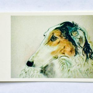 Étiquettes cadeaux Art chien Barzoï, lévrier russe par Cori Solomon