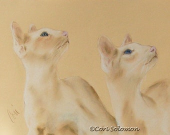 Two Red Point Siamese Cats Art Original Pastel Drawing By Cori Solomon