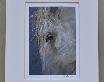 Roan Horse Art Signed Matted Print By Cori Solomon
