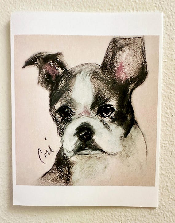 Boston Terrier Puppy Dog Art Notecards By Cori Solomon