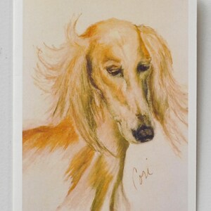 Saluki Dog Art Note Cards By Cori Solomon