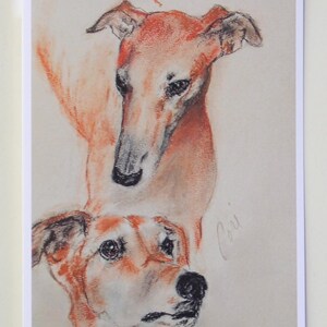 Two Greyhounds Dog Art Note Cards By Cori Solomon