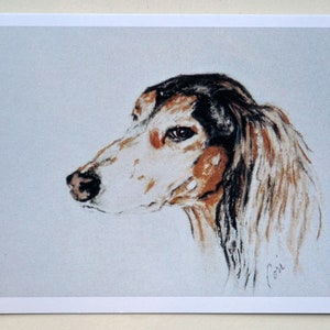 Grizzle Saluki Dog Art Note Cards Sighthound By Cori Solomon