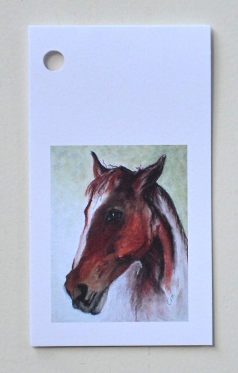 May include: A watercolor painting of a brown horse's head with a white mane and a light brown background.