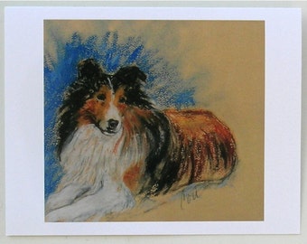 Shetland Sheepdog Sheltie Dog Art Note Cards By Cori Solomon