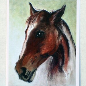 Cartes de correspondance artistiques alezan cheval par Cori Solomon