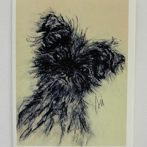 Biglietti d'auguri artistici sul cane Affenpinscher di Cori Solomon