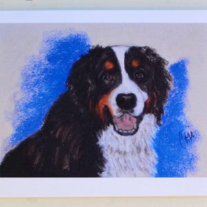 Berner Sennenhund Kunst Grußkarten von Cori Solomon