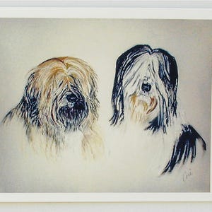 Due biglietti d'auguri con l'arte del cane Terrier tibetano di Cori Solomon