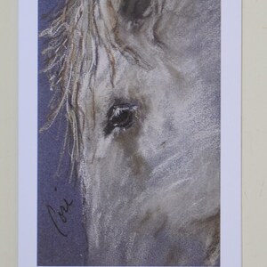 Cartes de correspondance artistiques cheval blanc par Cori Solomon