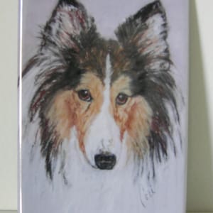 Shetland Sheepdog Sheltie Dog Art Magnet By Cori Solomon
