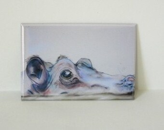 Hippopotamus Art Magnet Hippo Animal Wildlife By Cori Solomon