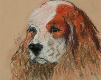 Idle Thoughts Cocker Spaniel Dog Art Framed Pastel Drawing By Cori Solomon