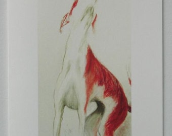 Greyhound Ibizan Dog Art Note Cards By Cori Solomon
