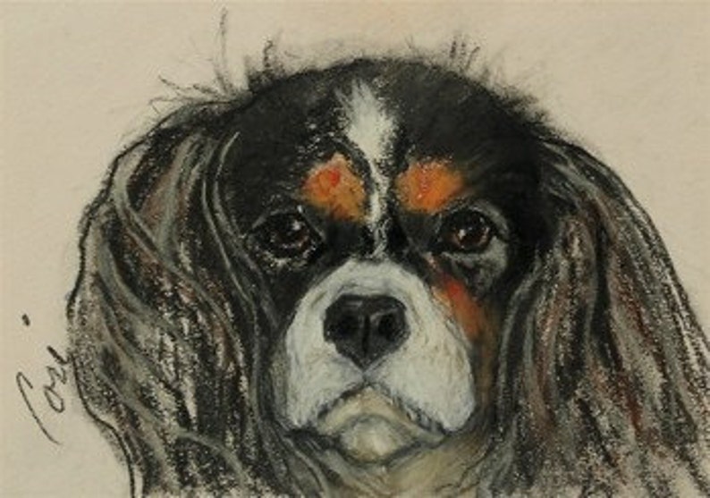 Cavalier King Charles Spaniel Dog Art Note Cards By Cori Solomon