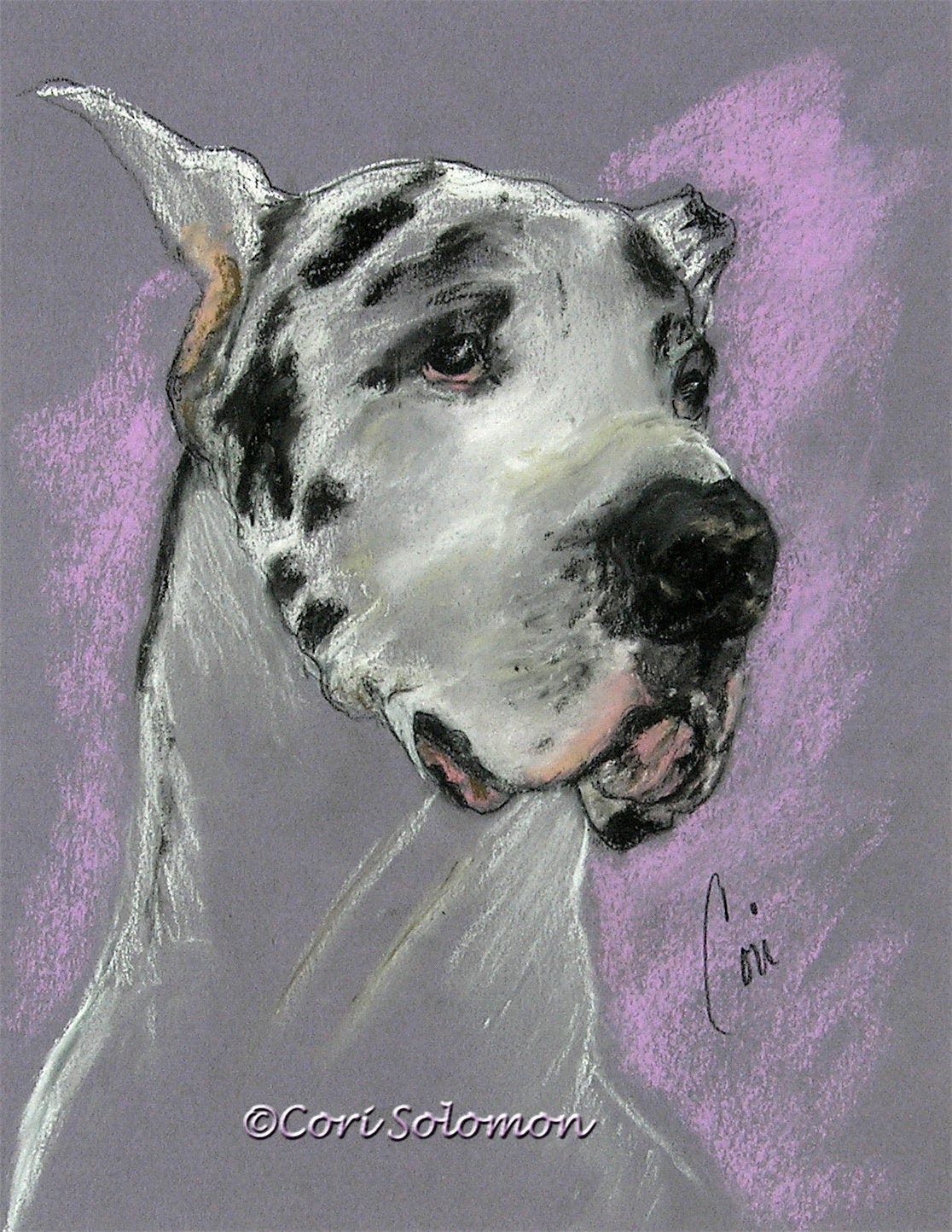 Harlequin Great Dane Original Dog Art Pastel Drawing Framed and