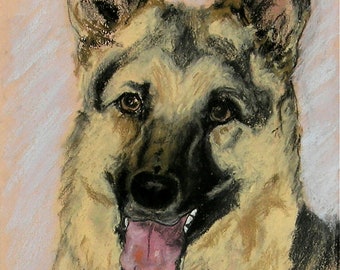 German Shepherd Dog Art Original Pastel Drawing By Cori Solomon