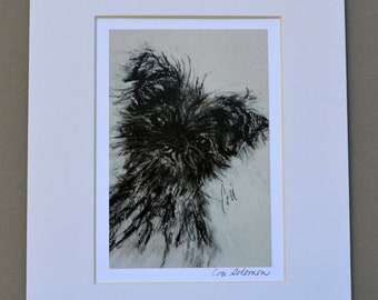 Black Affenpinscher Dog Art Print Signed and Matted By Cori Solomon