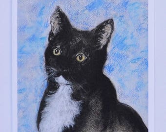 Black Tuxedo Cat Black Tabby Cat Art Note Cards By Cori Solomon