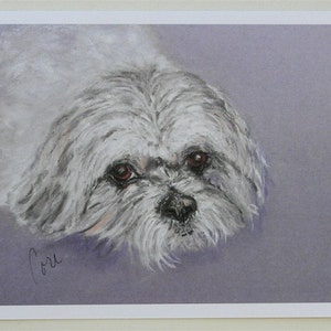 Cartes de correspondance représentant un chien shih tzu par Cori Solomon