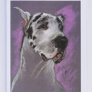 Biglietti d'auguri artistici con il cane Alano Arlecchino di Cori Solomon