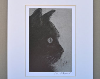 Black Cat Art Signed Matted Print By Cori Solomon