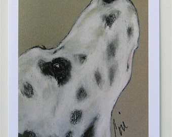 Dalmatian Dog Art Note Cards By Cori Solomon