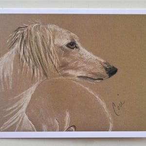 Biglietti d'auguri artistici con cane Saluki Hound color crema di Cori Solomon