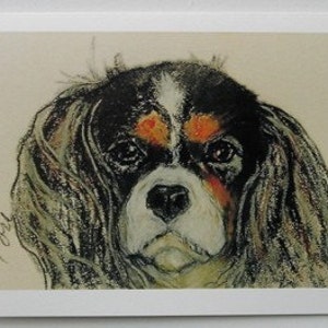 Cavalier King Charles Spaniel Dog Art Note Cards By Cori Solomon image 2