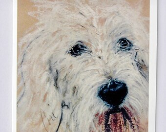 High Spirits Petit Basset Griffon Vendeen PBGV Dog Art Note Cards By Cori Solomon