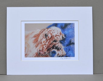 English Setter Dog Art Signed and Matted Print By Cori Solomon