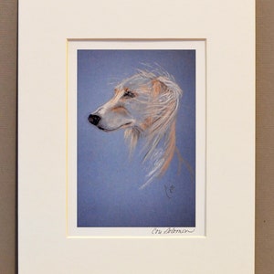 Cream Saluki Sight Hound Dog Art Print Signed & Matted By Cori Solomon