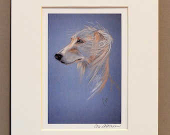 Cream Saluki Sight Hound Dog Art Print Signed & Matted By Cori Solomon